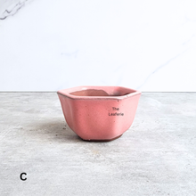 Load image into Gallery viewer, The Leaferie Bonsai 79. Hexagon shape 4 colours ceramic pot