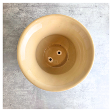 Load image into Gallery viewer, Soren Green ceramic vase with gold rim on a light gray surface, branded 'LEAFERIE'.