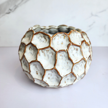 Load image into Gallery viewer, The Leaferie Deion Flowerpot. 2 colours black and white ceramic pot