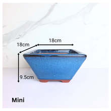 Load image into Gallery viewer, Leaferie Bonsai series 85 ceramic bonsai pots with 'LEAFERIE' branding and 'bonsai 85' text.