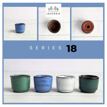 Load image into Gallery viewer, Petit Bonsai Pot (Series 18)