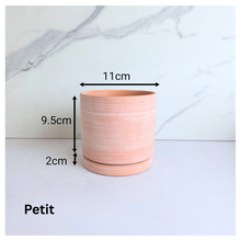 Load image into Gallery viewer, Terracotta D Flowerpot (3 sizes)