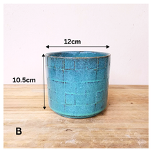 Load image into Gallery viewer, Lazarina Flowerpot