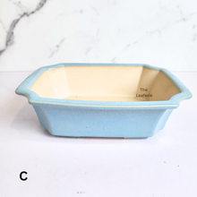 Load image into Gallery viewer, The Leaferie Bonsai Tally Series 11. 3 colours (Green, white and light blue ceramic material)