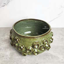 Load image into Gallery viewer, The Leaferie Harper shallow pot. ceramic green colour