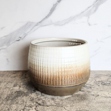 Load image into Gallery viewer, The Leaferie Sotiria Large flowerpot. white and brown base ceramic pot.