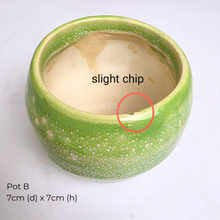 Load image into Gallery viewer, As-is Sept 25. ceramic pots and mugs with Leaferie logo.