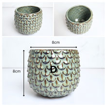 Load image into Gallery viewer, Petit Flowerpots (Series 16)