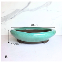 Load image into Gallery viewer, The Leaferie Bonsai 99. round green ceramic pot