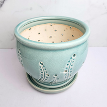 Load image into Gallery viewer, The Leaferie Liane orchid pot with holes and matching tray. ceramic material