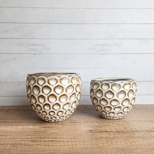 Load image into Gallery viewer, The Leaferie Sen Flowerpot . 2 sizes beige ceramic pot.