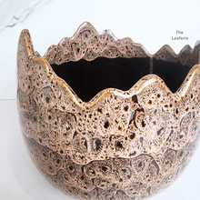 Load image into Gallery viewer, Dubois Egg Flowerpot (2 Colours)