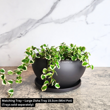 Load image into Gallery viewer, The Leaferie Bonsai Series 38 Flowerpots. 2 colours and 3 sizes