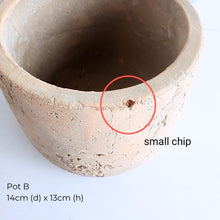 Load image into Gallery viewer, The Leaferie As-is Pot June 2025. 9 items