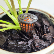 Load image into Gallery viewer, The Leaferie fertiliser pod / basket / box with lid. plastic material