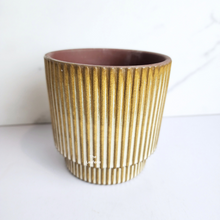 Load image into Gallery viewer, The Leaferie Mercen Beige stripe ceramic pot