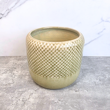 Load image into Gallery viewer, Thanos Flowerpot