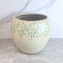 Load image into Gallery viewer, Avenelle Big Flowerpot