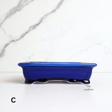 Load image into Gallery viewer, The Leaferie Bonsai Series 67. 3 colours rectangular ceramic pot.