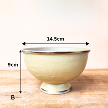 Load image into Gallery viewer, Grainne Flowerpot