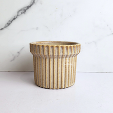 Load image into Gallery viewer, The Leaferie Willow beige flowerpot. ceramic material