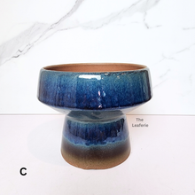 Load image into Gallery viewer, The Leaferie Luna Flowerpot . 3 colours ceramic material