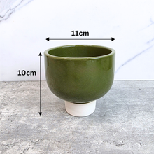 Load image into Gallery viewer, Olive Flowerpot