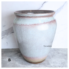 Load image into Gallery viewer, The leaferies Aures tall pot series 3 . 2 colours ceramic pot