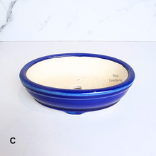 Load image into Gallery viewer, The Leaferie Bonsai series 63 Oval bonsai pot. ceramic material. green, blue and white colour