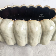 Load image into Gallery viewer, The Leaferie Sable shallow pot. ceramic material