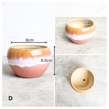 Load image into Gallery viewer, Petit Allegra Flowerpots (Series 3) Pink Pots