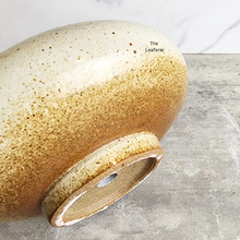 Load image into Gallery viewer, The Leaferie Xavia shallow flowerpot. beige colour and ceramic material