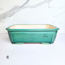 Load image into Gallery viewer, Bonsai Tally (Series 9) Rectangular Flowerpot