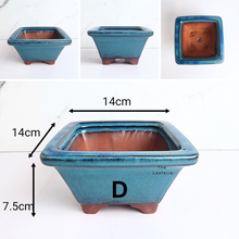 Load image into Gallery viewer, The Leaferie bonsai series 58 blue range 6 designs