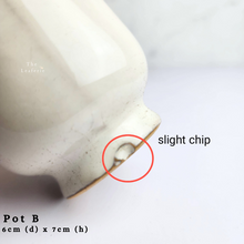 Load image into Gallery viewer, The Leaferie As-Is April 2024 flowerpots