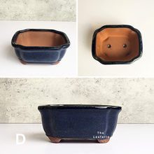 Load image into Gallery viewer, The Leaferie Petit bonsai series 2. 4 colours . ceramic pot. front view of design D