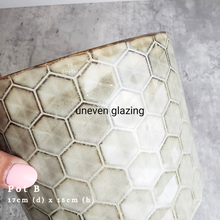 Load image into Gallery viewer, the Leaferie As-is september 2024. 12 pot