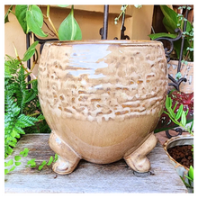 Load image into Gallery viewer, Francoise Flowerpot