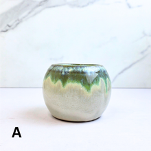 Load image into Gallery viewer, Petit Bonsai (Series 45)