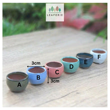 Load image into Gallery viewer, Petit Bonsai Pot (Series 8)