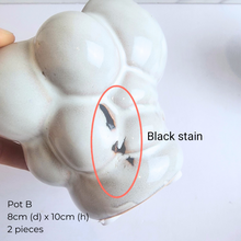 Load image into Gallery viewer, The Leaferie As-Is Feb 2025. 9 pieces items