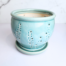 Load image into Gallery viewer, The Leaferie Liane orchid pot with holes and matching tray. ceramic material