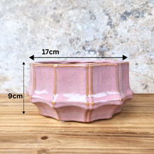 Load image into Gallery viewer, Knoxx Shallow Flowerpot