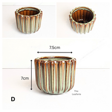 Load image into Gallery viewer, Petit Flowerpots (Series 19)