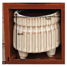 Load image into Gallery viewer, Petit Flowerpots (Series 2)