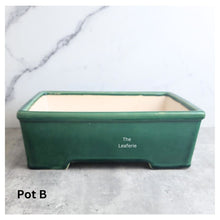 Load image into Gallery viewer, Bonsai Flowerpot (Series 61) Rectangular