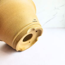 Load image into Gallery viewer, The Leaferie Bonsai Series 74. yellow zisha pot. 2 sizes. purplesand