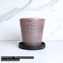 Load image into Gallery viewer, The Leaferie Tevynn pot. ceramic material