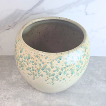 Load image into Gallery viewer, Avenelle Big Flowerpot