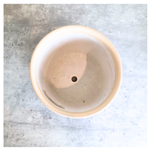 Load image into Gallery viewer, Caelis Ceramic planter with blue floral pattern on a marble surface, featuring the brand 'LEAFAERIE'.